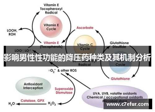 影响男性性功能的降压药种类及其机制分析