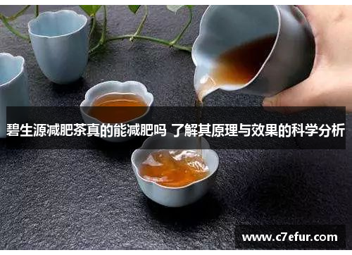 碧生源减肥茶真的能减肥吗 了解其原理与效果的科学分析