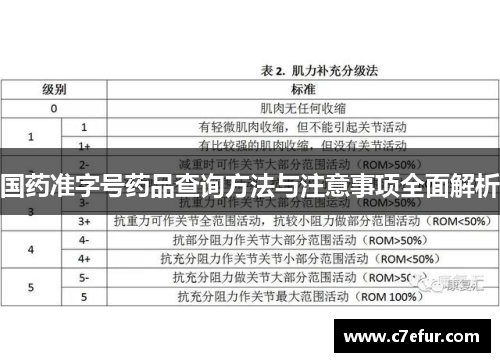 国药准字号药品查询方法与注意事项全面解析